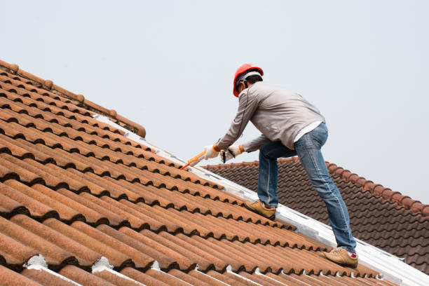 Best Storm Damage Roof Repair  in Burlington, IA